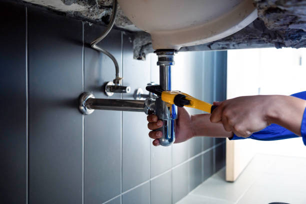 Best Residential Plumbing Services  in Rio Grande City, TX